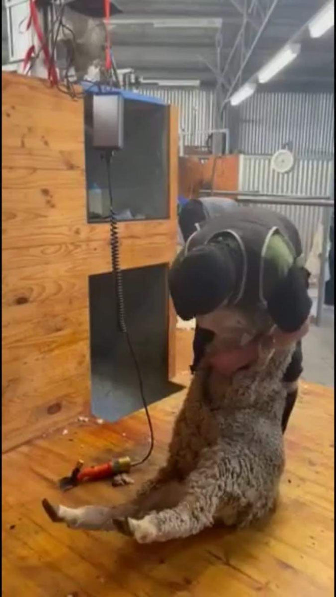 Eshear Mace Shearers Handpiece Willpower Industries